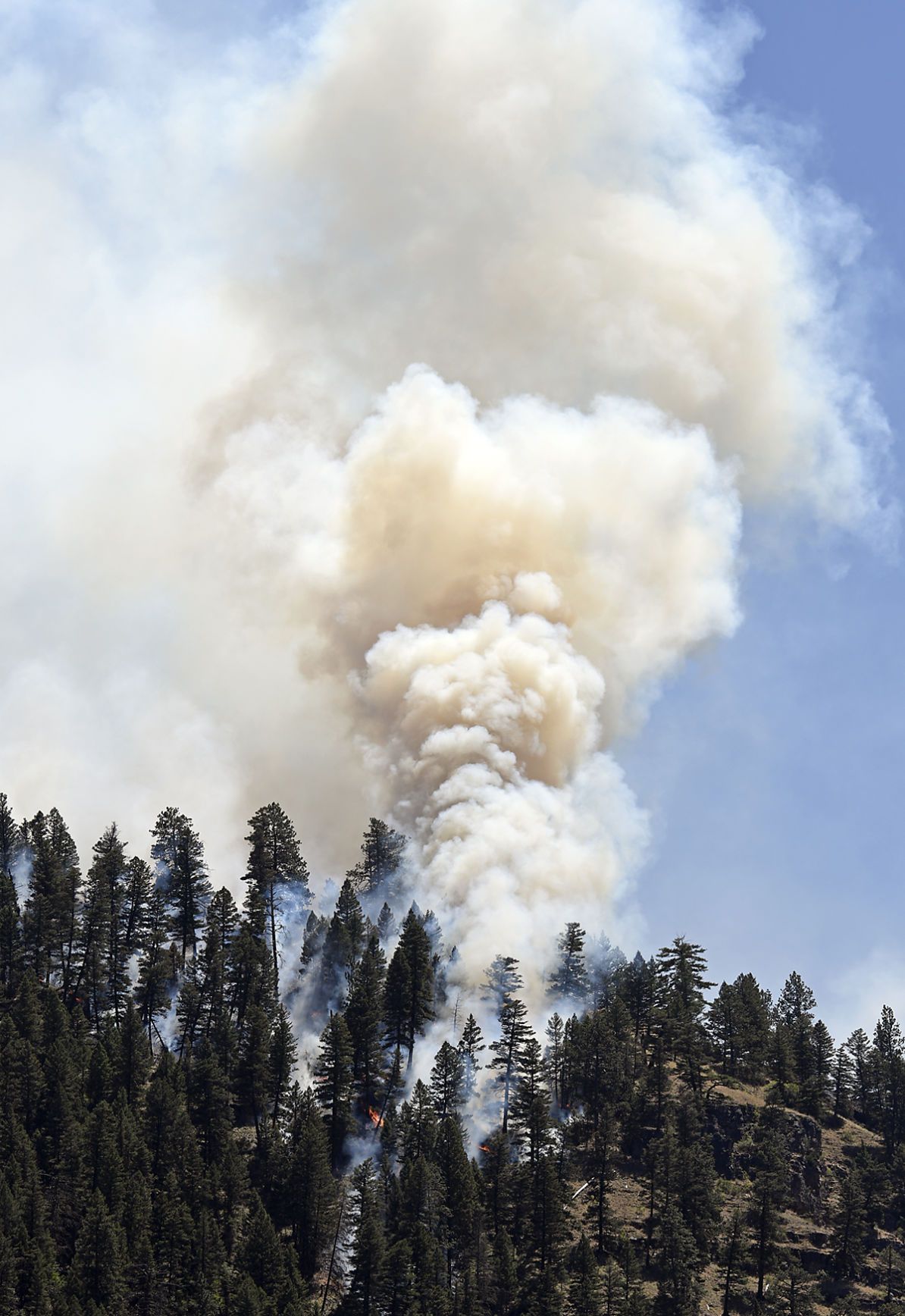 Goat Creek fire
